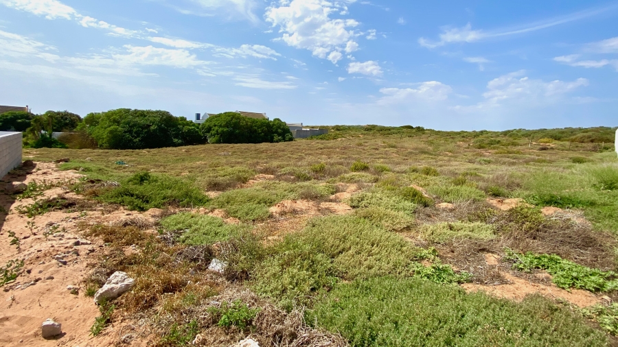 0 Bedroom Property for Sale in Duyker Eiland Western Cape